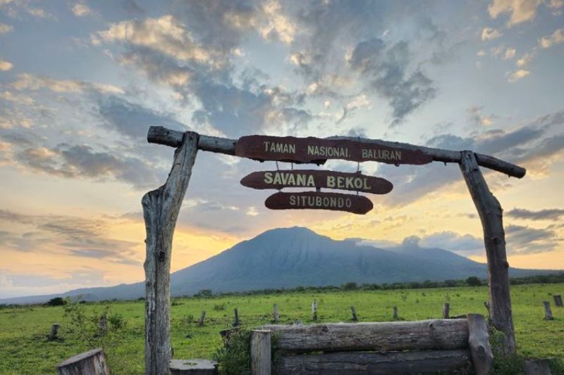 Banyuwangi 3 Hari 2 Malam Paket D