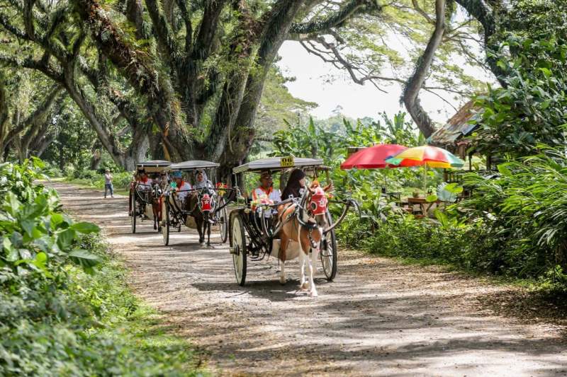 Banyuwangi 3 Hari 2 Malam Paket A